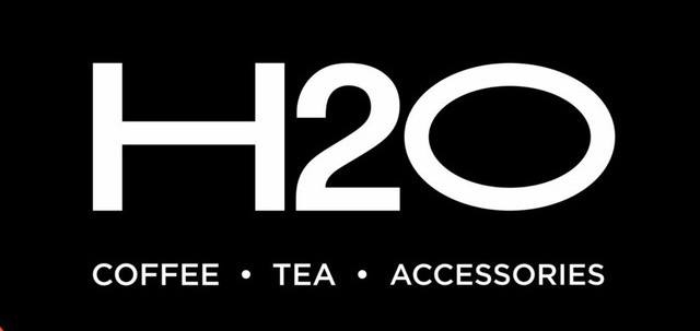 H2O H2O